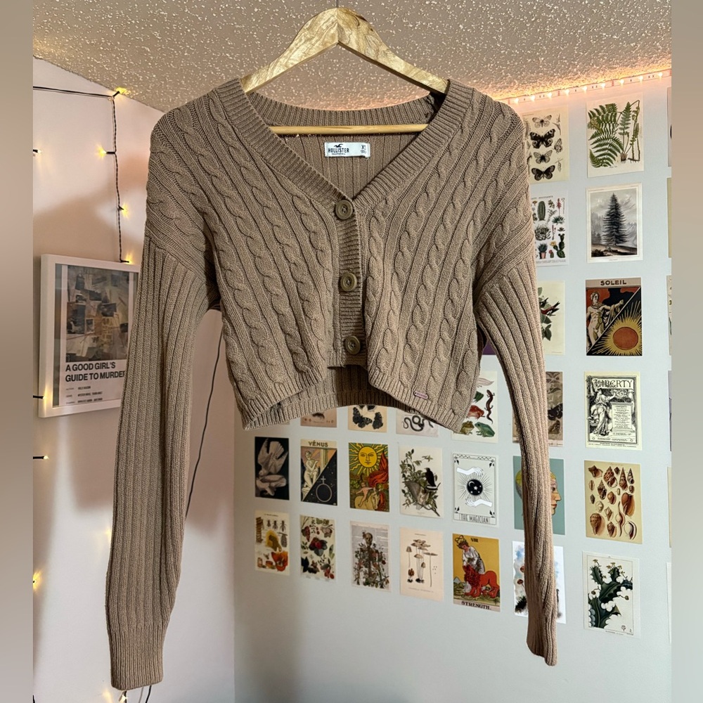 Hollister Brown Cropped Sweater